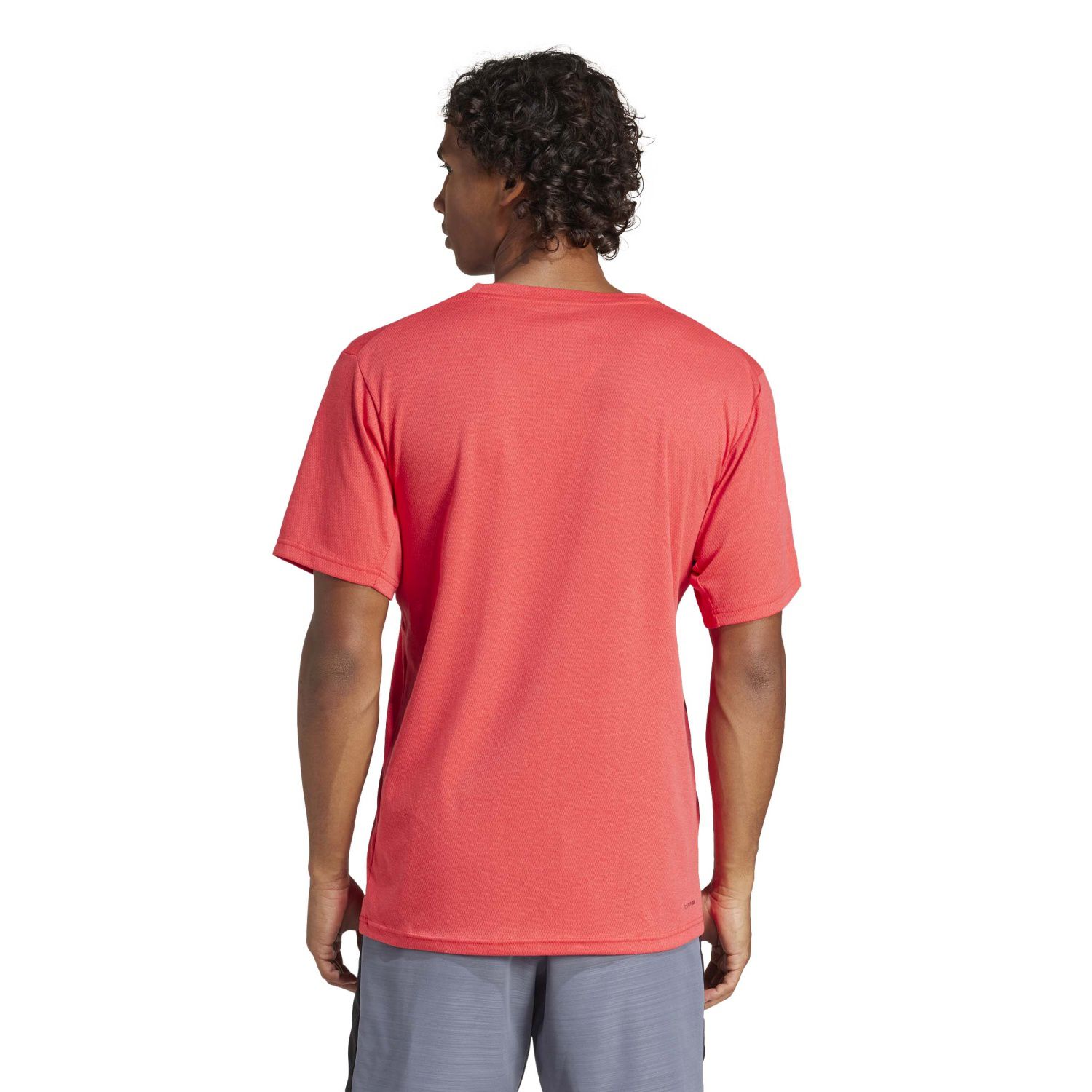 CAMISETA TR-ES FR NOV - PURE RUBY - Imagen 2