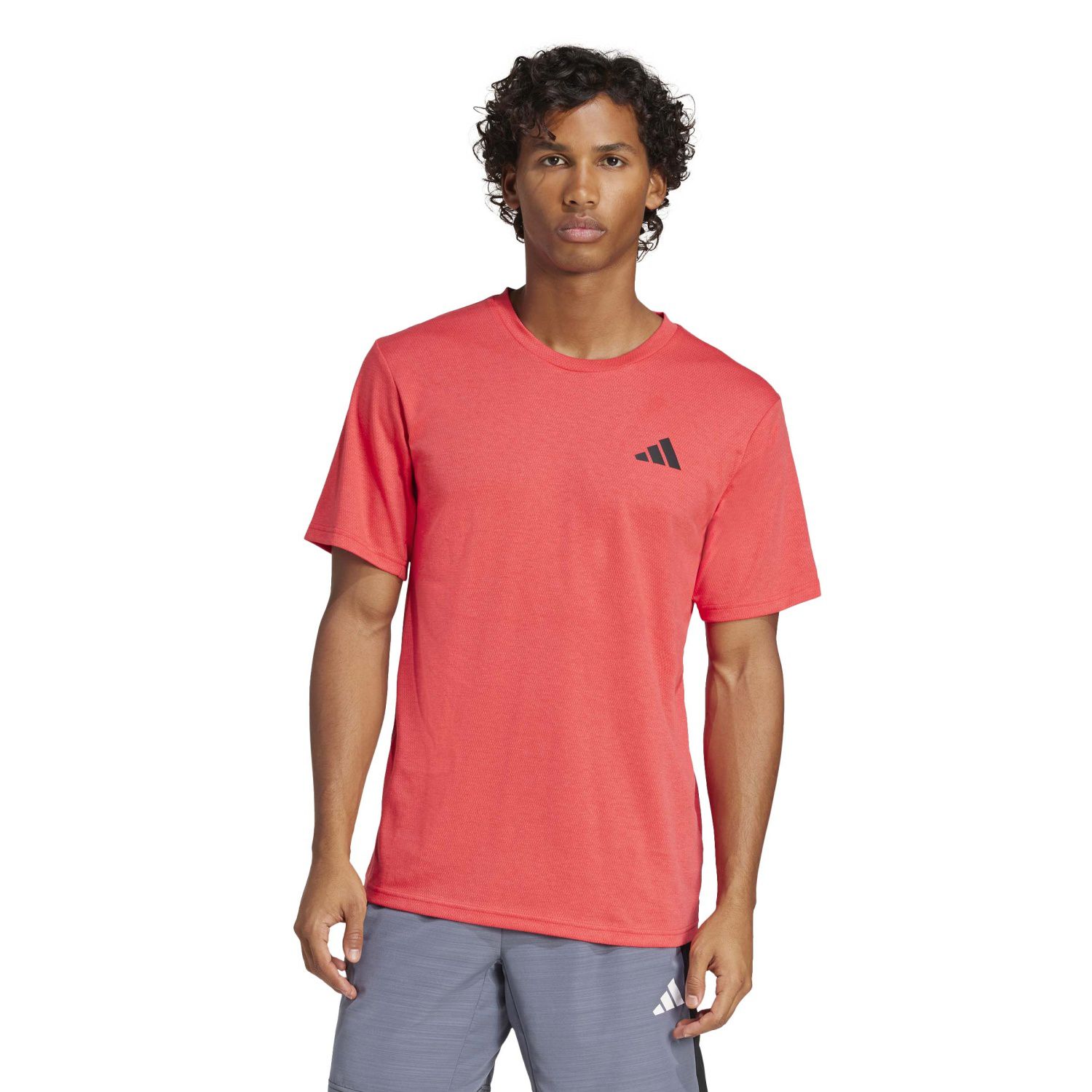CAMISETA TR-ES FR NOV - PURE RUBY - Imagen 3