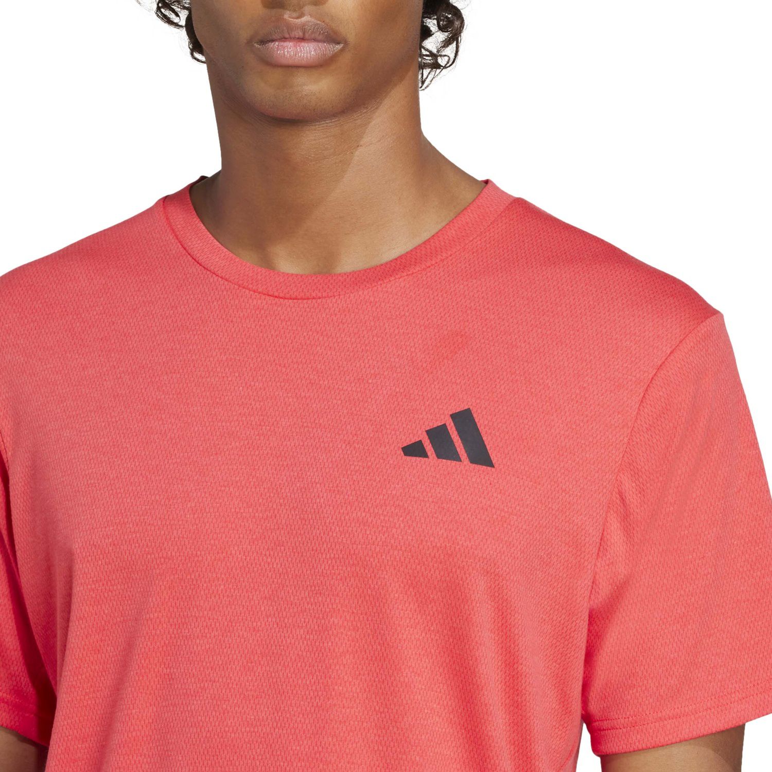 CAMISETA TR-ES FR NOV - PURE RUBY - Imagen 5