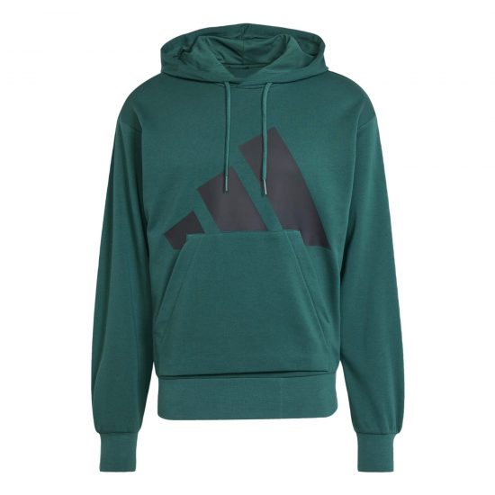 SUDADERA M BL FT HD - COLLEGIATE GREEN