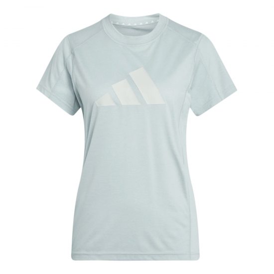 CAMISETA TR-ES LOGO - WONDER SAGE/WONDER SILVER